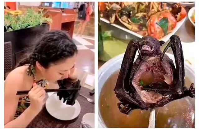 La actriz china Michelle Ye denunció que fue obligada a comer murciélagos y ratas por la producción de un programa de TV.