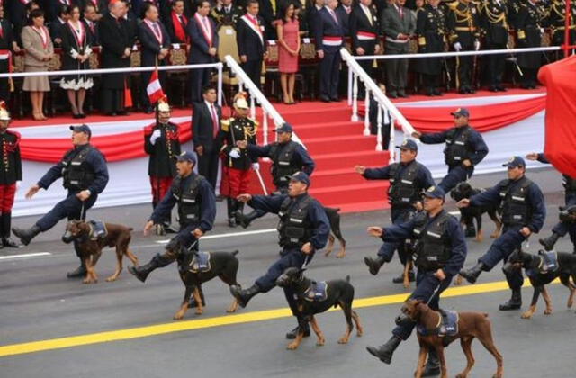  Brigada canina del serenazgo. Foto: Andina   