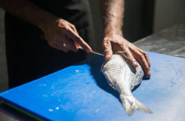 ¿Es perjudicial comer pescado en la cena? Foto: Pexels