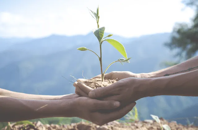 Día Mundial del Medio Ambiente: ¿por qué se celebra el 5 de junio y cuál es su importancia?