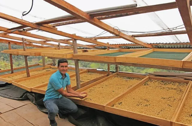 Yoniser Mego, ganador del concurso Taza de Excelencia 2023. Foto: El Peruano   