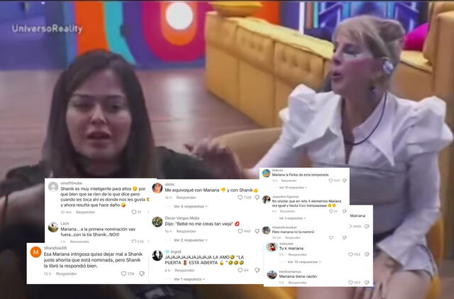 Reacciones en redes sociales apoyan a Shanik Berman tras enfrentamiento con Mariana Echeverría. Foto: tiktok/ composición LR   