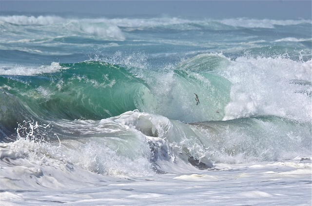 Uno de los países con las olas más fuertes del mundo es Portugal. Foto: Debbie Hilman / Flickr   