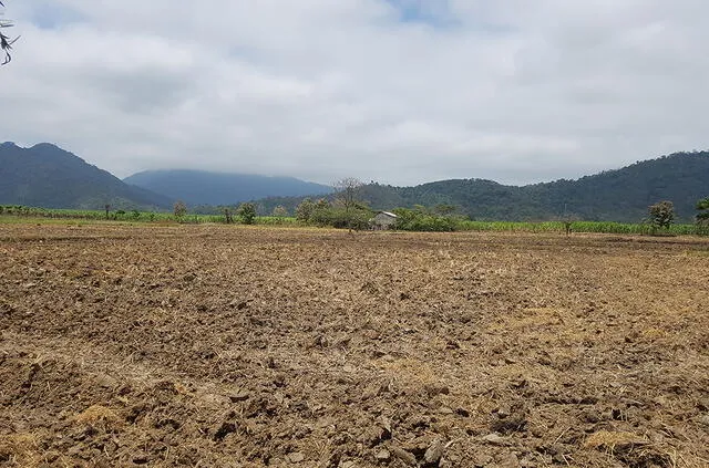 Guayaquil: Conoce qué puedes hacer en esta bella ciudad Guayaquil: Conoce qué puedes hacer en esta bella ciudad