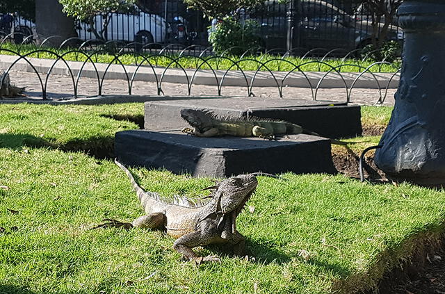 Guayaquil: Conoce qué puedes hacer en esta bella ciudad Guayaquil: Conoce qué puedes hacer en esta bella ciudad