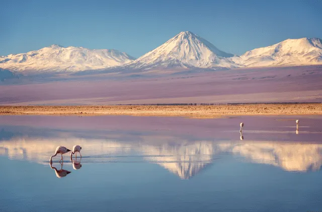  Esta meseta desértica de América del Sur cruza el Norte Grande y el Norte Chico de Chile. Foto: National Geographic<br>    