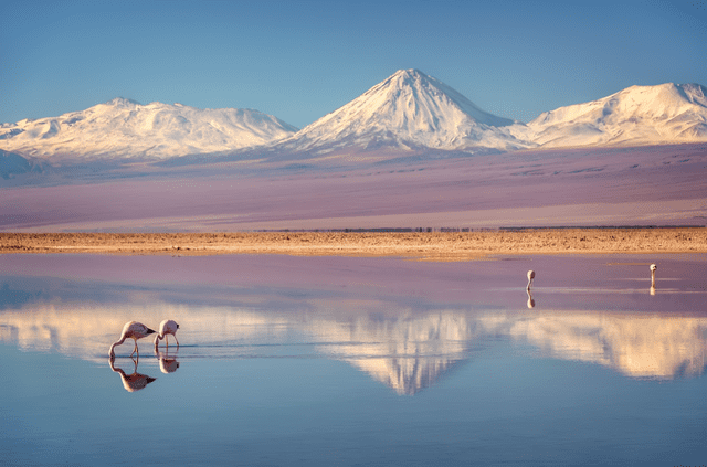  Esta meseta desértica de América del Sur cruza el Norte Grande y el Norte Chico de Chile. Foto: National Geographic<br&gt;  