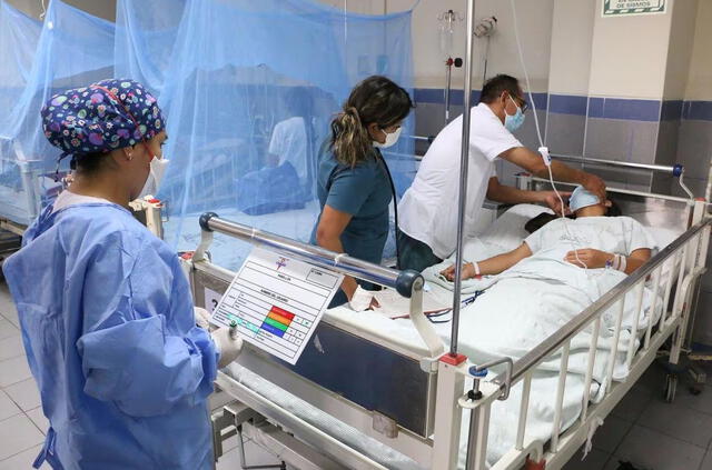 Centros médicos en La Libertad, Piura e Ica colapsan ante incremento de casos de dengue. Foto: Andina   