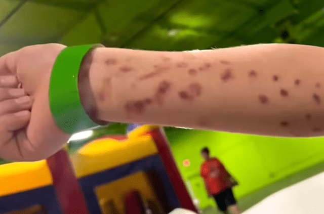 El niño intentó acariciar al animal en el acuario interactivo. Foto: Tiktok   