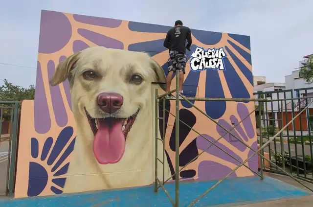 La campaña no solo busca promover la adopción, ya que también protege el medio ambiente. Foto: cortesía. La campaña no solo busca promover la adopción, ya que también protege el medio ambiente. Foto: cortesía.