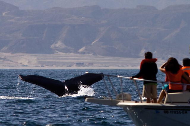 Playa Los Órganos. Foto: La República