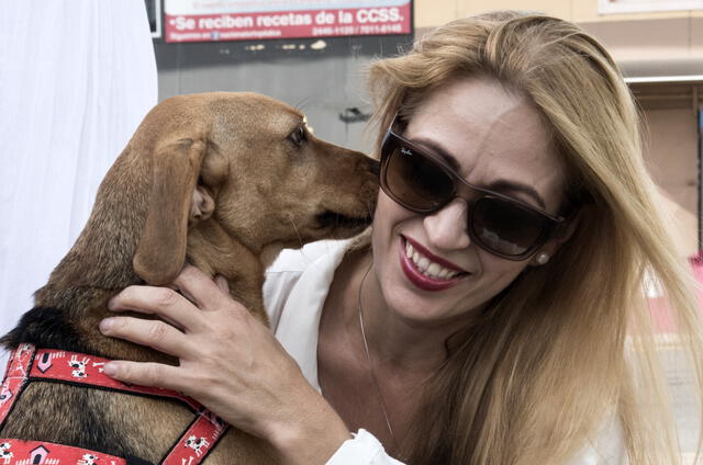 La exdueña de "Campeón", un tierno perro que fue maltratado cuando tenía tan solo seis meses, fue absuelta este viernes. Foto: