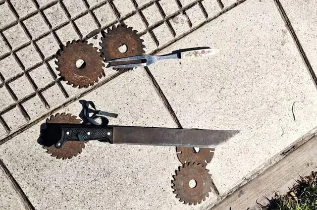 Armas incautadas al hombre que intentó ingresar a la Casa Rosada. Foto: Clarín   