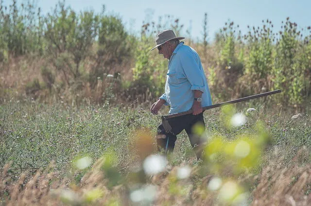  Chacarero. En su campo de flores y hortalizas, en Rincón del Cerro, donde el Pepe es más feliz que en ningún otro lugar. Foto: AFP   