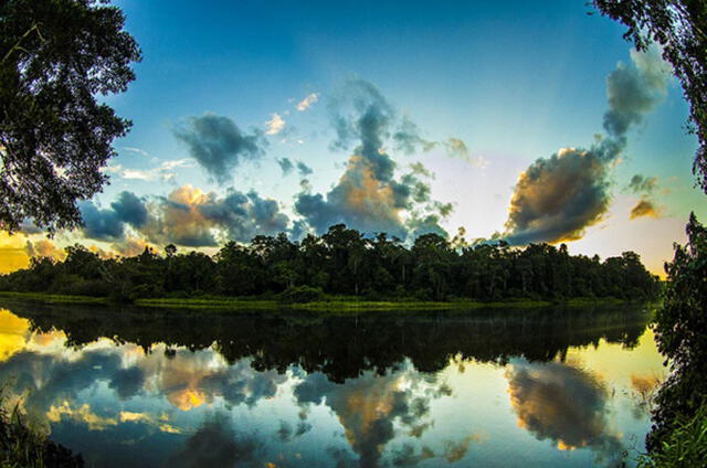  Este parque se ubica en la cuenca del río Manu, regiones de Cusco y Madre de Dios. Foto: Andina 