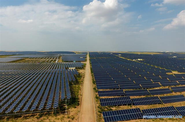 a instalación de paneles solares en el desierto de Kubuqi crea sombra, reduce la evaporación del agua y permite el crecimiento de vegetación. Foto: Xinhua   