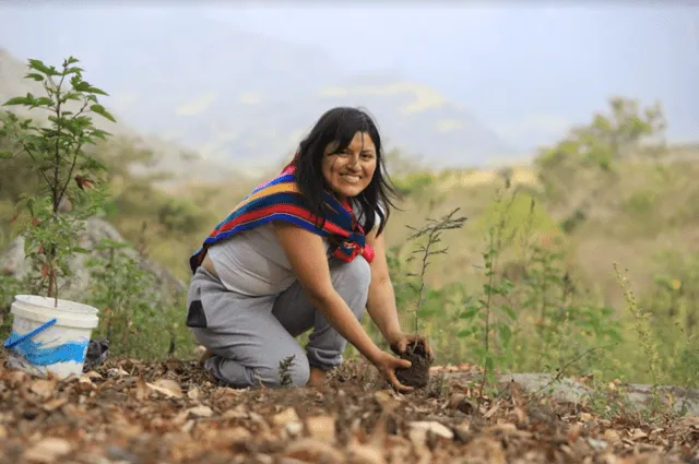 Planta especies que son usadas por las abejas para alimentarse y anidar. Planta especies que son usadas por las abejas para alimentarse y anidar.