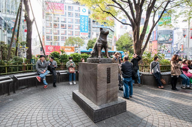 Estatua de Hachiko en Japón. (Foto: Difusión)