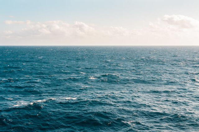 Los océanos cubren alrededor del 72% de la superficie de la Tierra, pero en la vida de Joanna es casi un 100%. Foto: Pexels