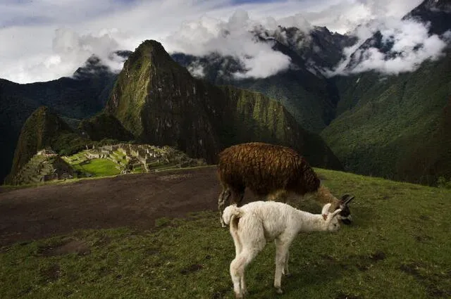 ¿Qué dijo CN Traveller sobre Machu Picchu? Foto: Pexels