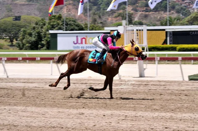 Traqueos La Rinconada, 12 de noviembre