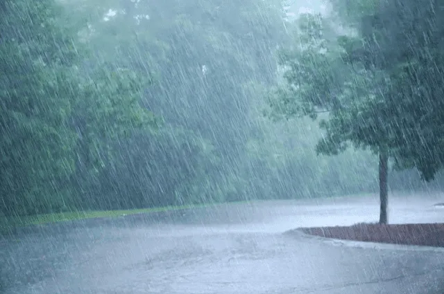La lluvia, un fenómeno meteorológico, se presenta de manera irregular en distintas partes del mundo. Foto: Freepick   