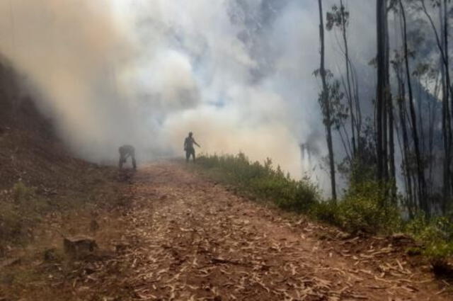  El origen del incendio aún está en investigación por parte de las autoridades. Foto: Andina   