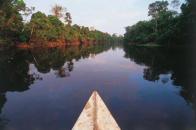 Río Amazonas