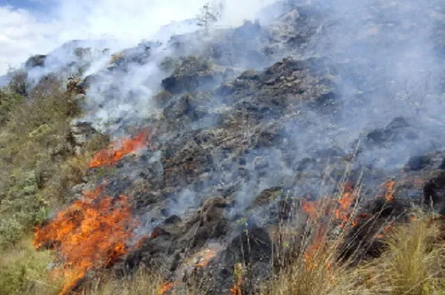 incendio forestal