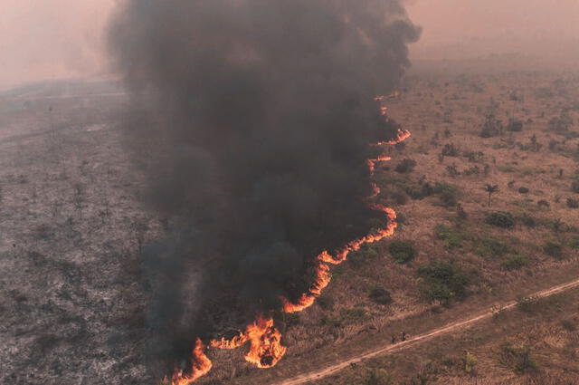 Hace casi tres meses que se producen incendios en Bolivia y algunos fuegos están fuera de control. Foto: Ayuda en Acción    