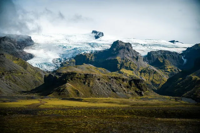  El cambio climático podría alterar la condición en el futuro, ya que el calentamiento global puede introducir nuevas especies de insectos en Islandia. Foto: Pexels   