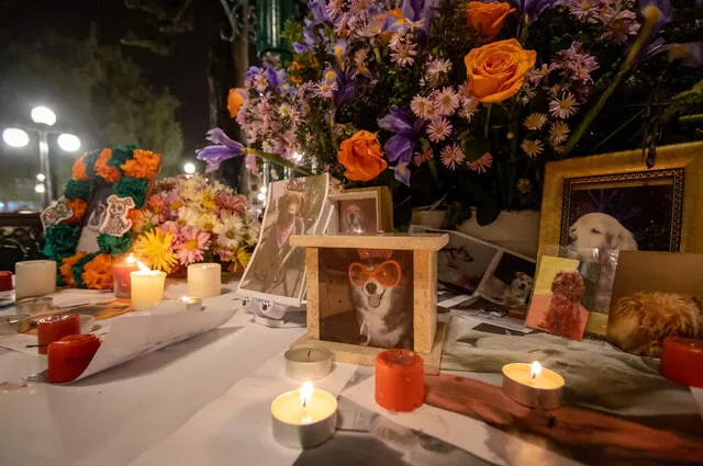  Municipalidad de Santiago de Surco comparte imágenes de vecinos durante el Día de Muertos para mascotas en Perú (2023). Foto: Municipalidad de Santiago de Surco.   