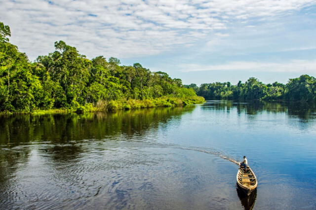 Esta declaratoria tiene el propósito de reconocer la importancia de la preservación de la biodiversidad. Foto: Andina.   