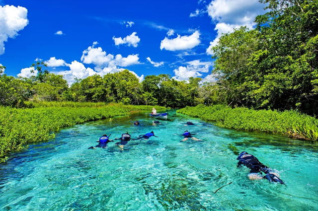  El río Sucuri es un destino para el ecoturismo en Brasil y atrayendo a visitantes interesados en explorar un entorno natural prácticamente intacto. Foto: TripAdvisor   