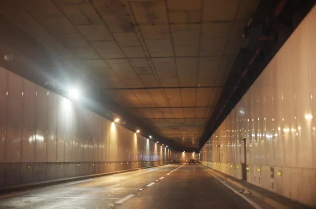 El túnel es una vía rápida sin acceso peatonal, lo cual pone en riesgo al felino. Foto: Carlos Félix   