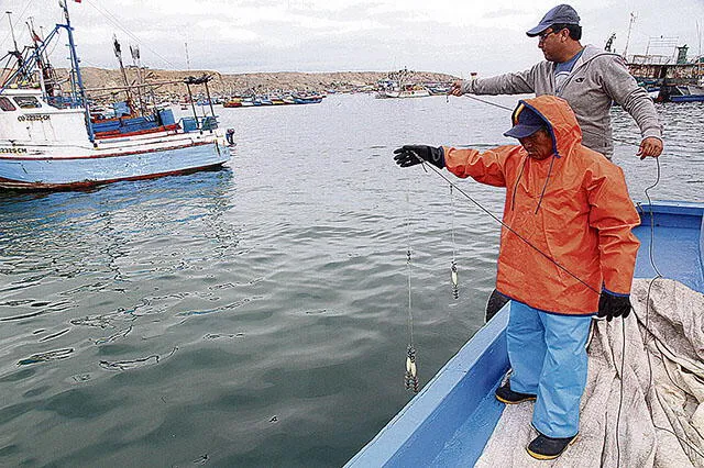 Pescadores atraviesan grave crisis por ausencia de especies y lenta reconstrucción