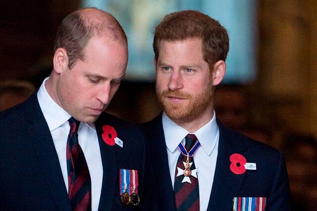 Príncipe Harry confirmó distanciamiento con su hermano William.