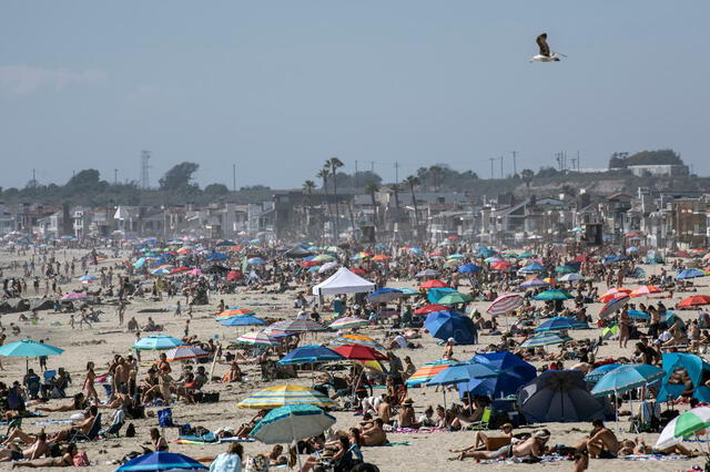 California. Foto. La Nación.