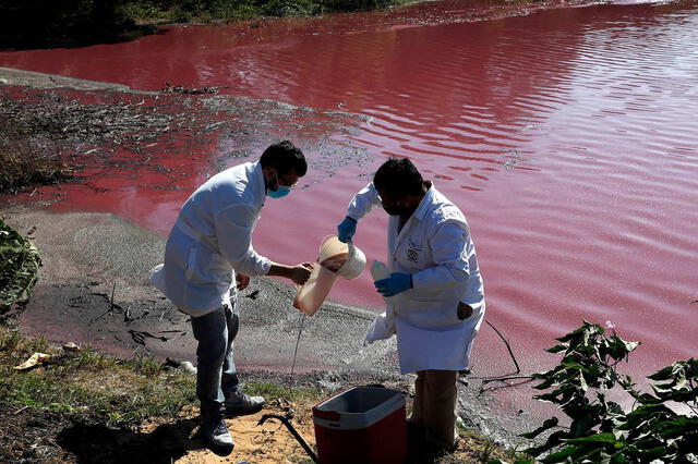 Laguna se tiñe de rojo por la contaminación y mueren miles de peces en Paraguay