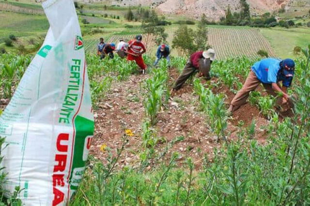 Fertilizantes: Midagri crea comisión multisectorial para garantizar la compra de urea