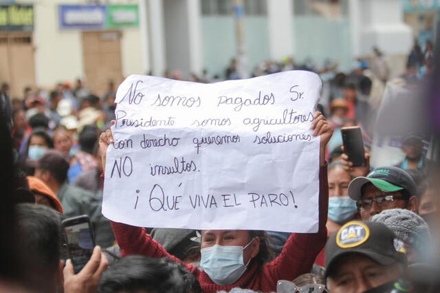 Manifestantes responden ante declaraciones de Pedro Castillo de que les habrían pagado para protestar. Foto difusión