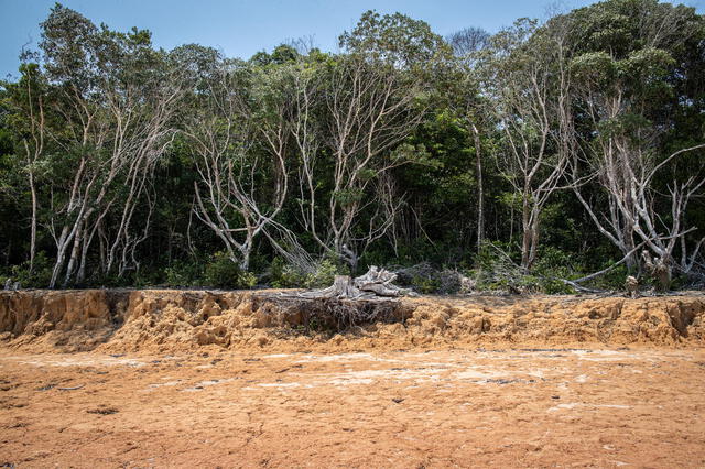  Severa sequía en el Río Negro, en el Amazonas (Brasil). Foto: Agencia EFE  
