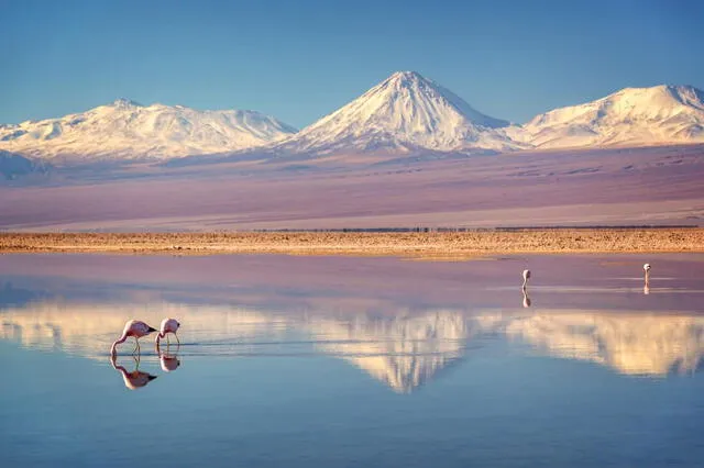  Atacama, el desierto más árido del mundo. Foto: National Geographic   