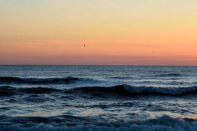 País donde amanece en un océano y anochece en otro. Foto: Vecteezy   