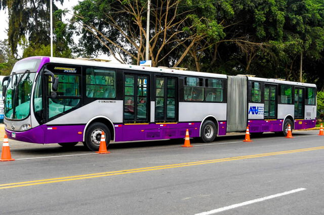 El nuevo bus articulado del Corredor Morado circula desde el 20 de marzo. ATU y concesionarios del sistema de transporte planean adquirir una flota de 20 vehículos a finales de este 2024. Foto: Rosario Rojas/LR   