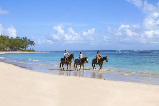Barbados cuenta con hermosas playas y un clima cálido. Foto: Barbados Tourism Marketing Inc   