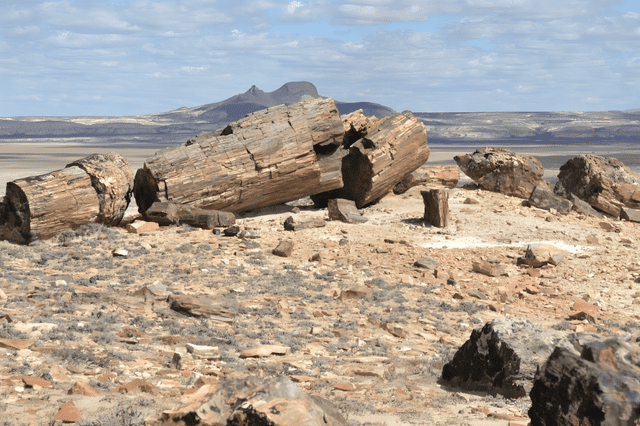 El Área Natural Protegida Bosque Petrificado Sarmiento se encuentra a una distancia de 28 kilómetros de la localidad de Sarmiento. Foto: National Geographic   