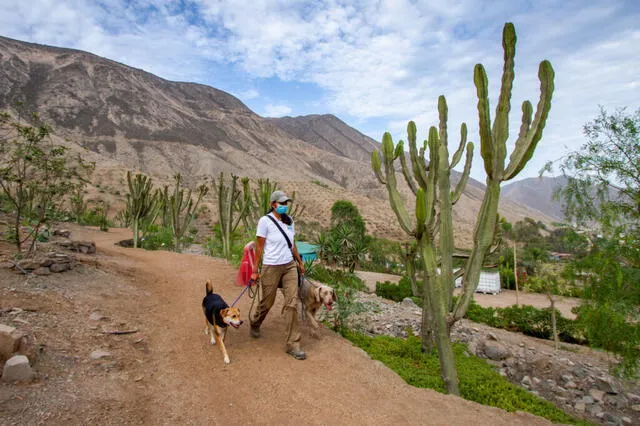  Puedes realizar trekking con tu mascota. Foto: Municipalidad de La Molina    