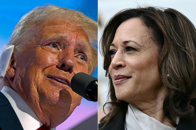  Donald Trump afirma que será más fácil vencer a Kamala Harris. Foto: AFP<br>    