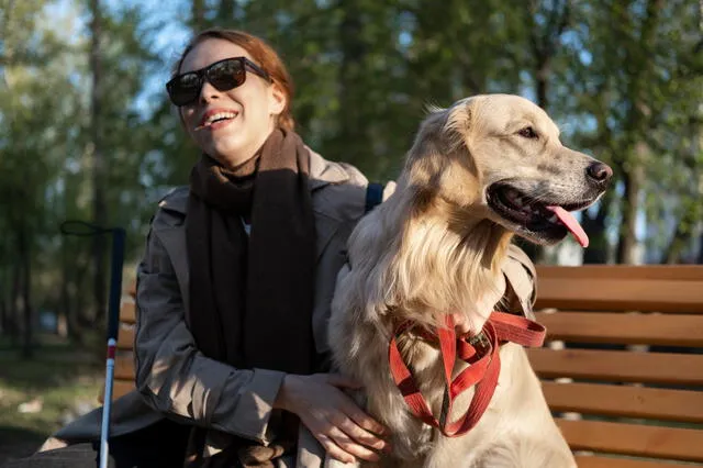  El aumento en la cantidad de mascotas por hogar, especialmente perros, ha generado una alta demanda de servicios de paseadores en las principales ciudades. Foto: Freepik   